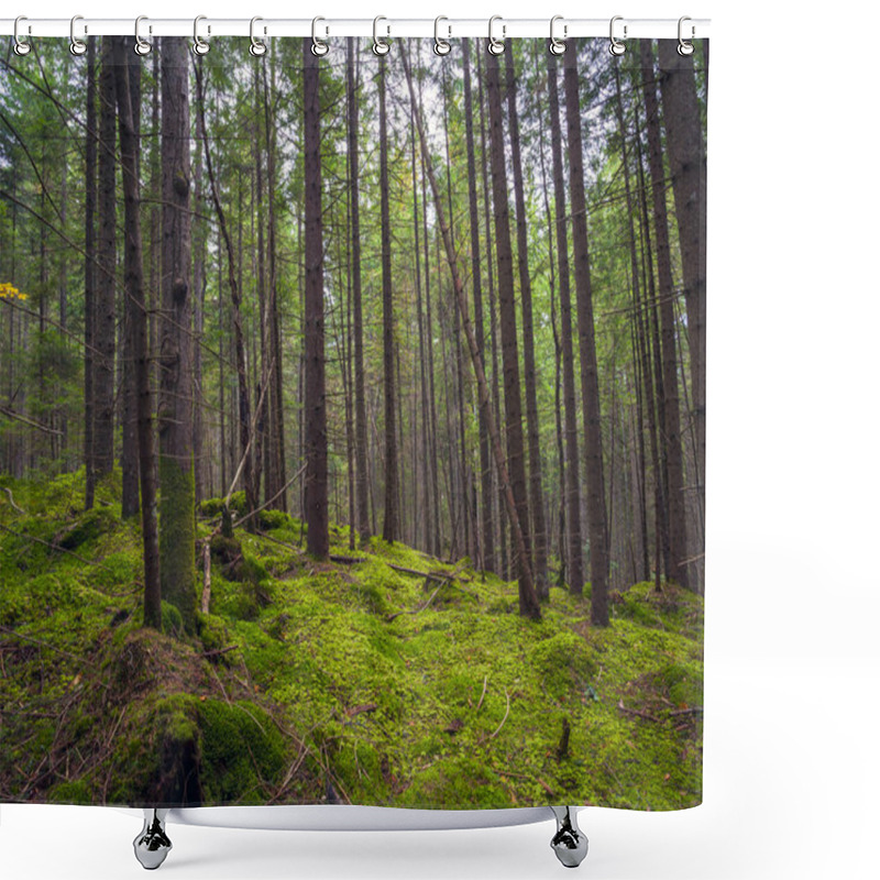 Personality  Sunlight In The Green Forest, Spring Time Shower Curtains