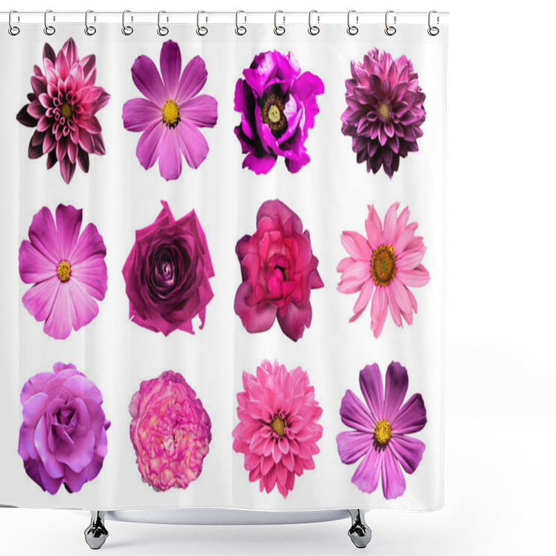 Personality  Mix Collage Of Natural And Surreal Pink Flowers 12 In 1: Dahlias, Primulas, Perennial Aster, Daisy Flower, Roses, Peony Isolated On White Shower Curtains