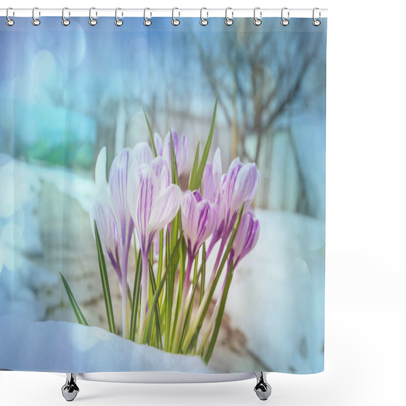 Personality  Snowdrops In Spring Season Close Up  Shower Curtains