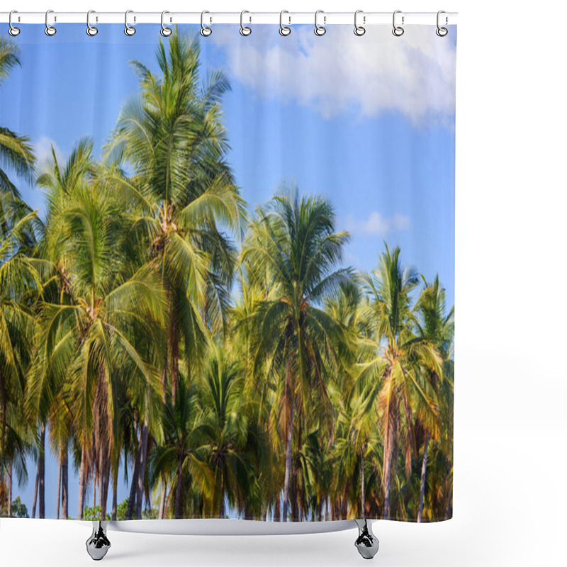 Personality  Palms On The Beach  Shower Curtains