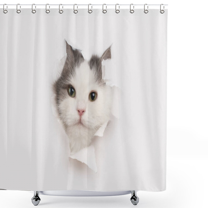 Personality  Sly Cat Tore A White Sheet Of Paper Shower Curtains