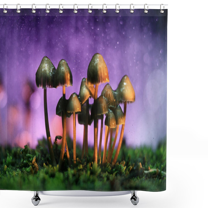 Personality  Small Poisonous Mushrooms Shower Curtains