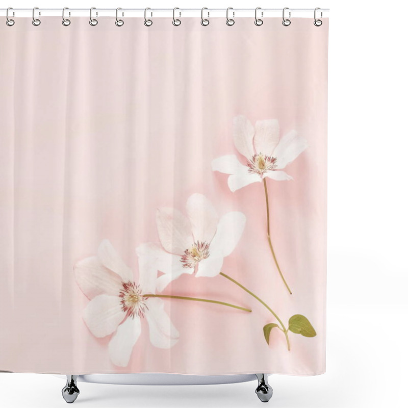 Personality  Flowers Background. Pale Pink Flowers On Pale Pink Background. Flat Lay, Top View. Copy Space Shower Curtains