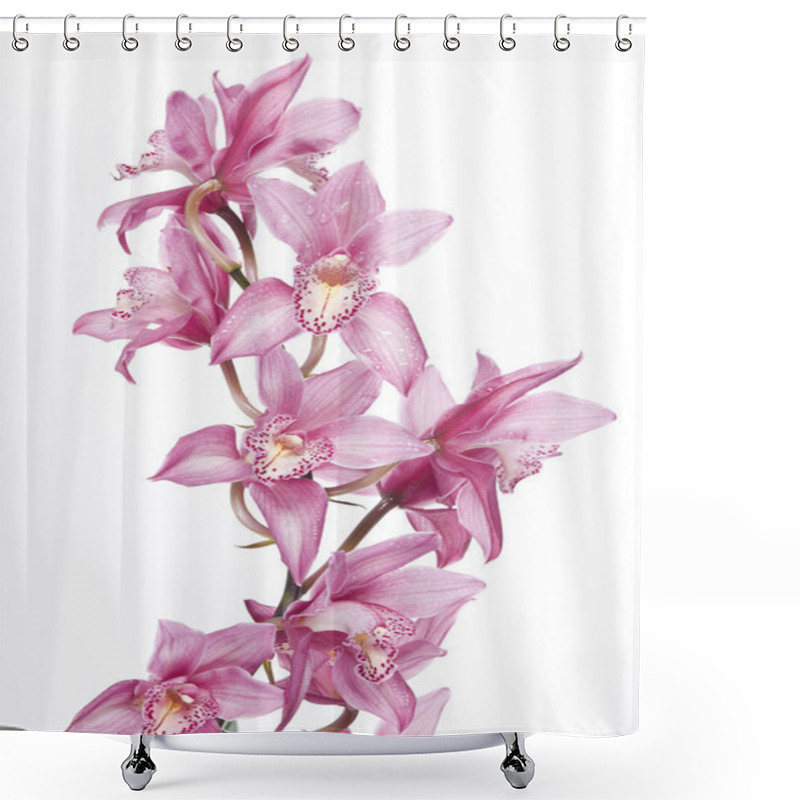 Personality  Beautiful Pink Orchid Shower Curtains