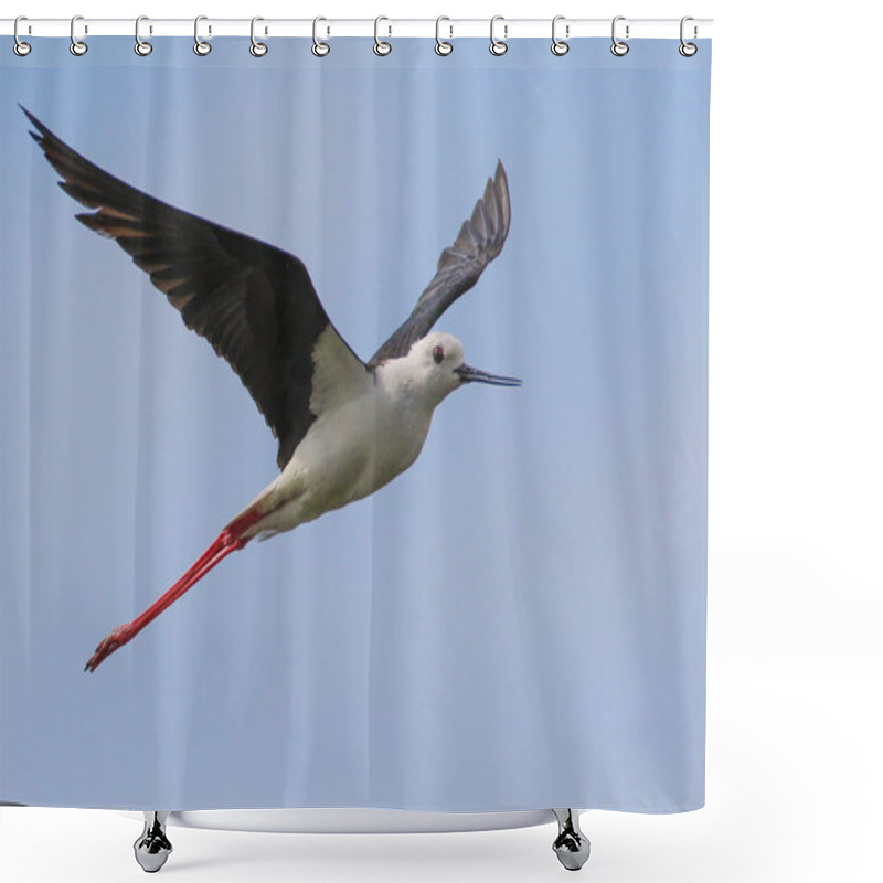 Personality  Heron Flying In Blue Sky Shower Curtains