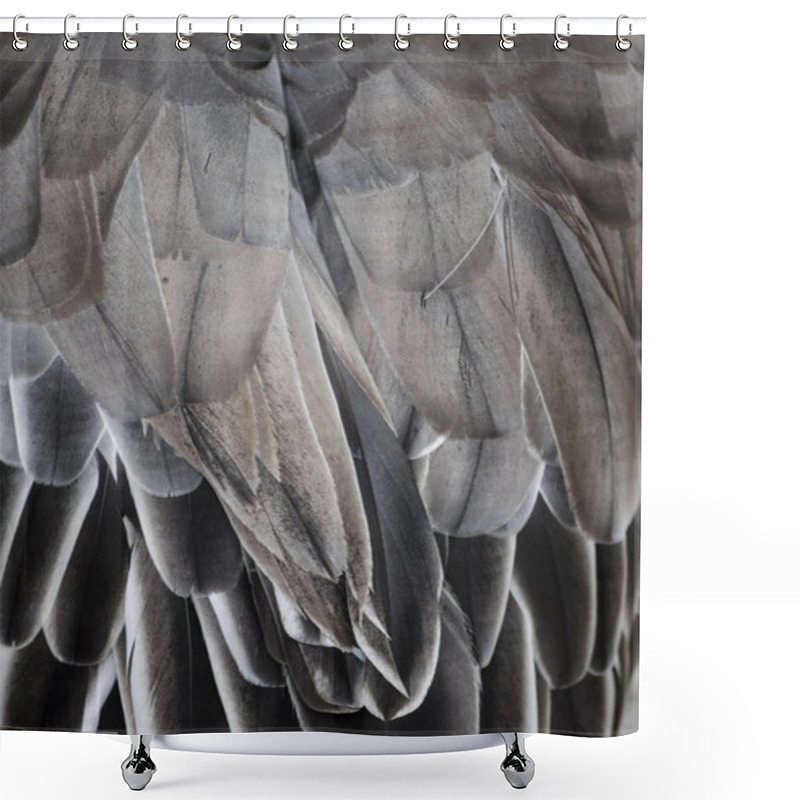 Personality  Bird Wing Detail Texture Shower Curtains