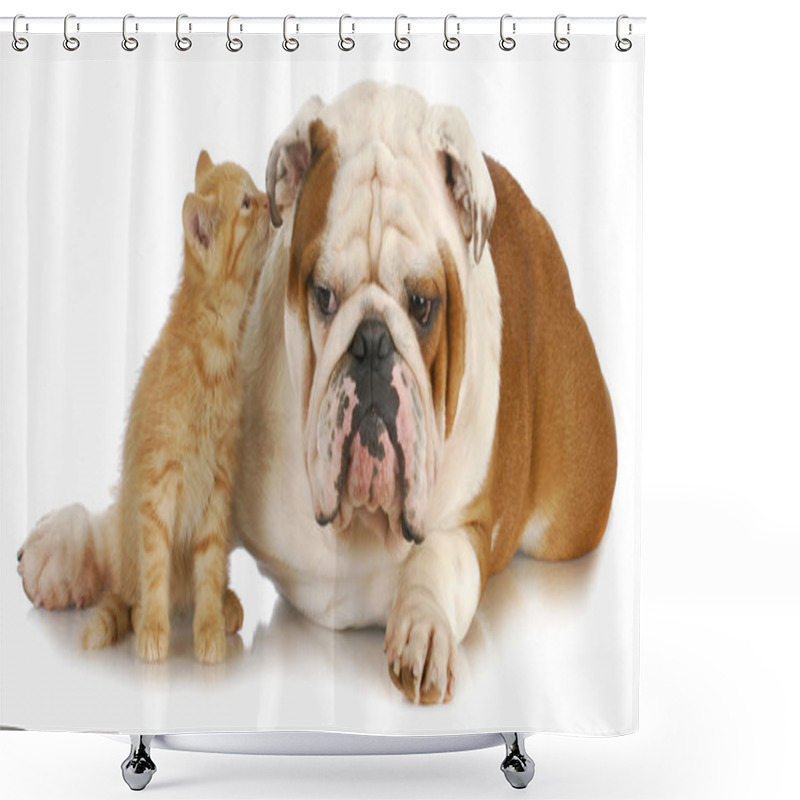 Personality  Dog And Cat Shower Curtains