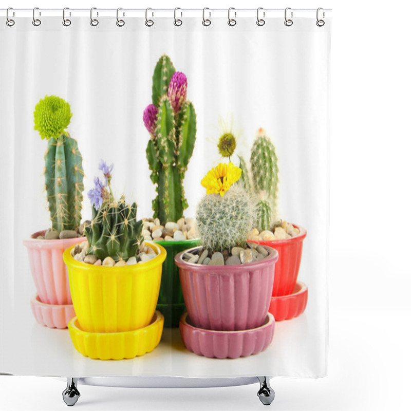 Personality  Cactuses In Flowerpots With Flowers, Isolated On White Shower Curtains