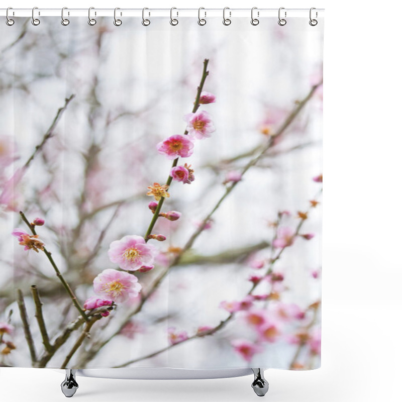 Personality  Plum Blossoms Blooming Shower Curtains