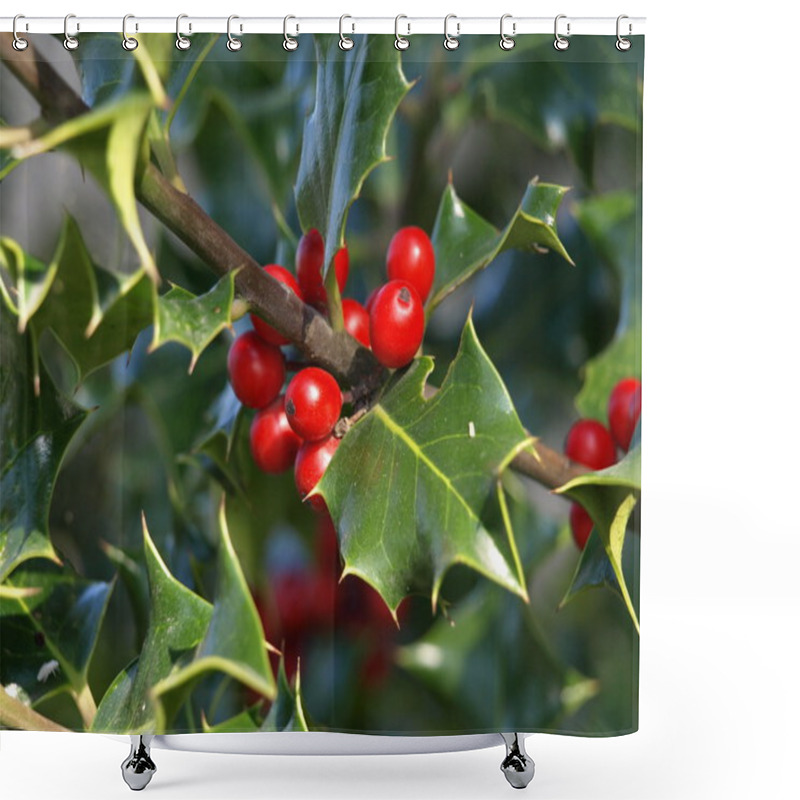 Personality  Holly Plant Shower Curtains