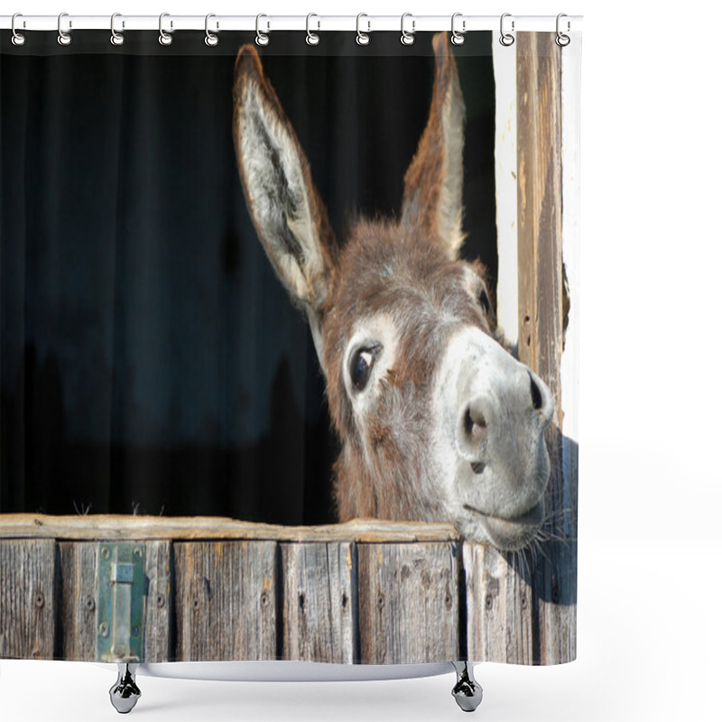 Personality  Funny Donkey Shower Curtains