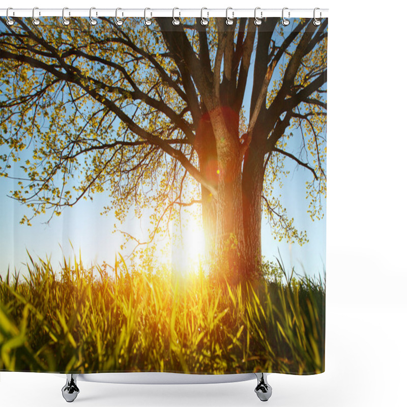 Personality  Tree Shower Curtains