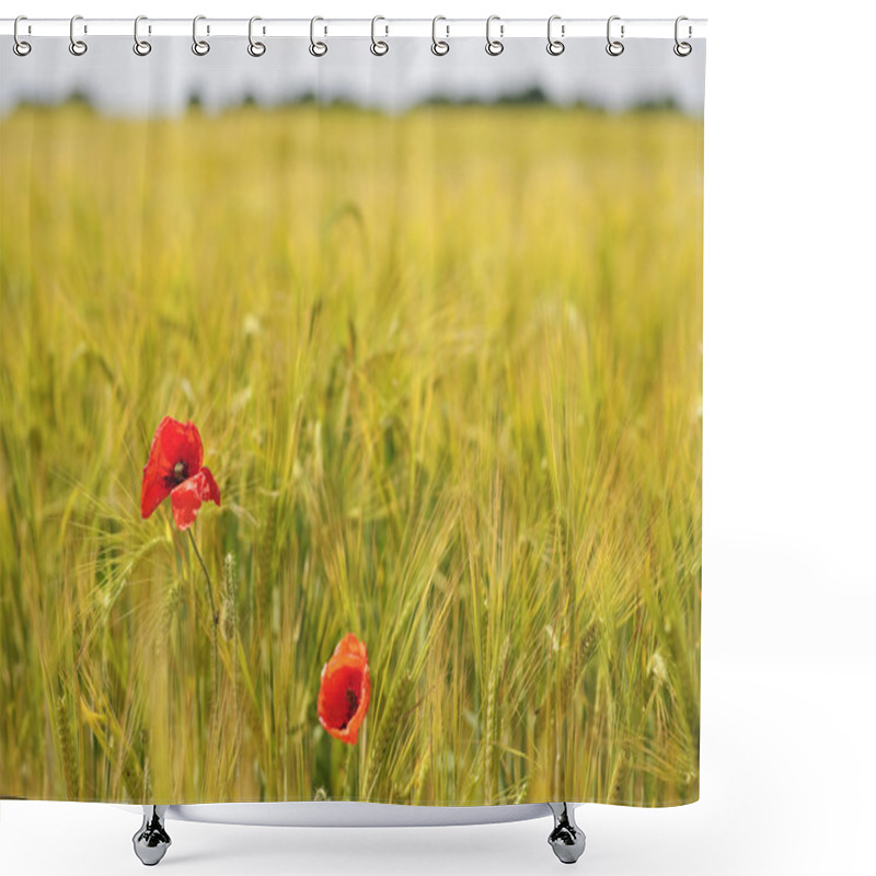 Personality  Wheat Field Poppies Shower Curtains