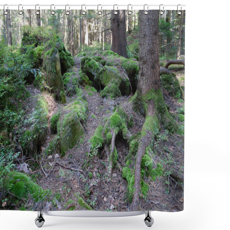 Personality  Picturesque Wildlife, Thick Of The Forest. Beautiful Green Moss On The Stones And Roots Of Trees Shower Curtains