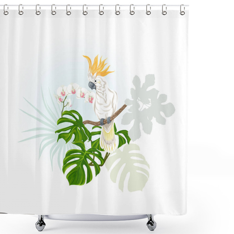 Personality  A Composition Of Tropical Plants, Palm Leaves, Monsters And White Orchids With Cockatoo Parrot In Botanical Style Vector Illustration. Colored And Silhouette Design Shower Curtains