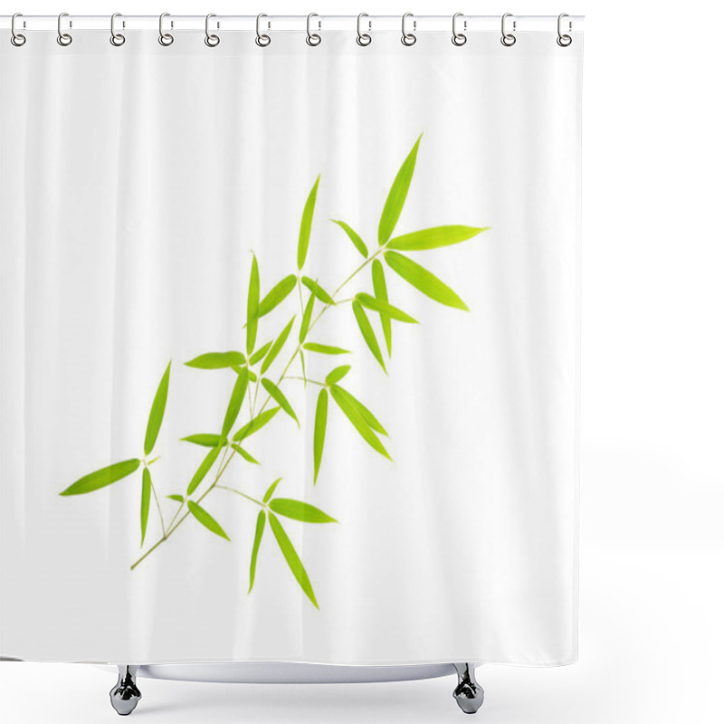 Personality  Green Bamboo Leaves Isolated On White Background Shower Curtains