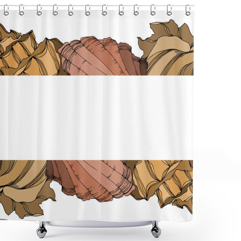 Personality  Vector Summer Beach Seashell Tropical Elements. Black And White  Shower Curtains