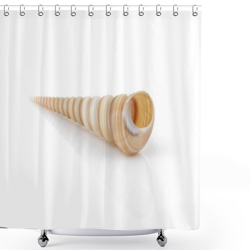 Personality  Terebridae Auger Shell On White With Reflection Shower Curtains