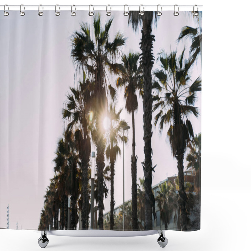 Personality  Urban Scene With Straight Tall Palm Trees, Barcelona, Spain Shower Curtains