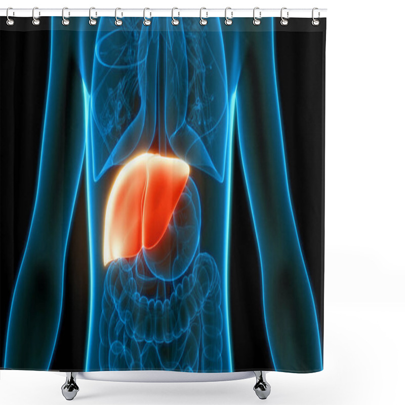 Personality  Human Body Organs Liver Anatomy. 3D Shower Curtains