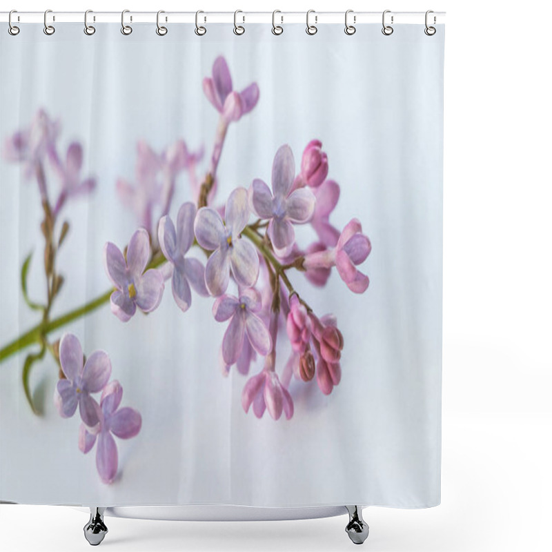 Personality  Close Up Of Violet Syringa Flower Shower Curtains