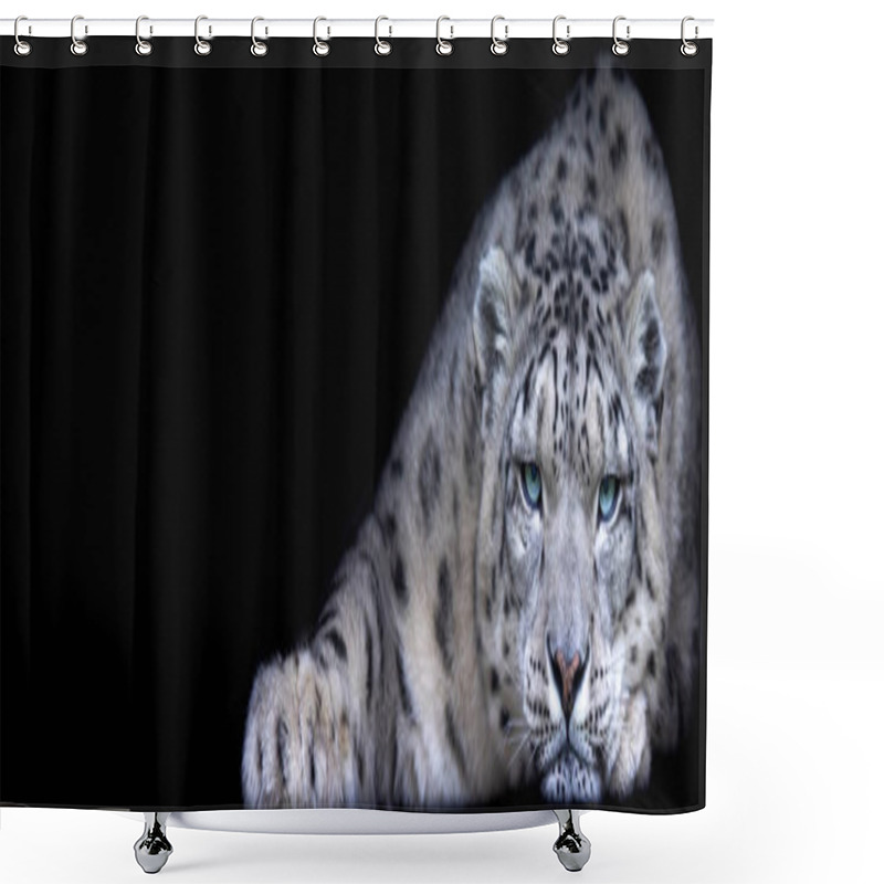 Personality  Template Of A Snow Leopard With A Black Background Shower Curtains