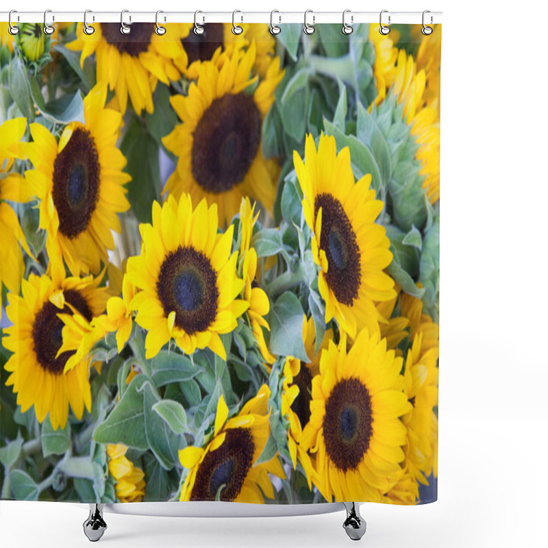 Personality  Freshly Picked Selection Of Organic Sunflowers On Display At The Outdoor Farmers Market. Shower Curtains