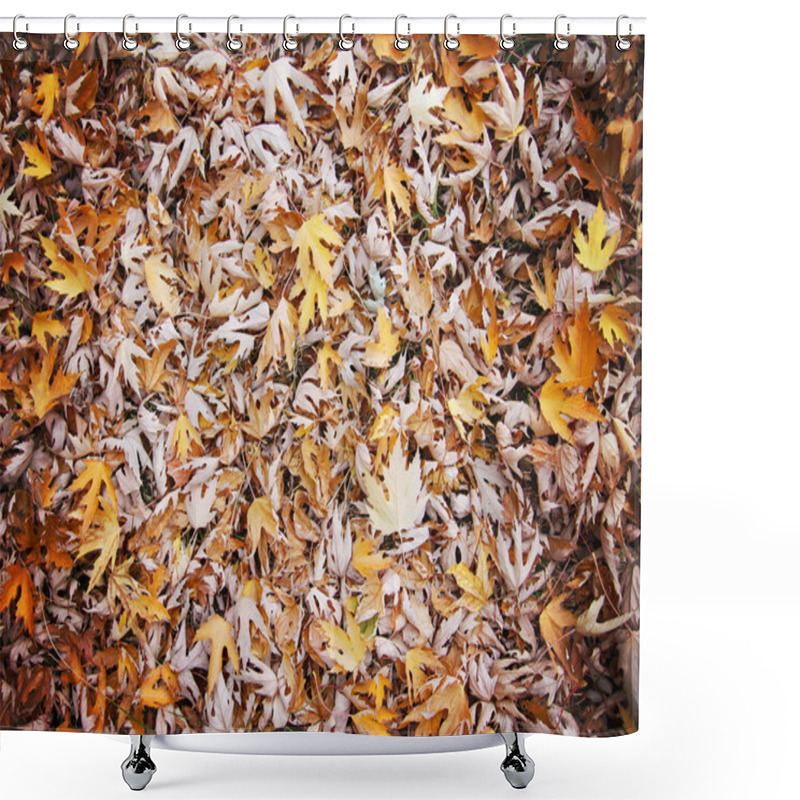 Personality  Autumn Leaves On The Ground Shower Curtains