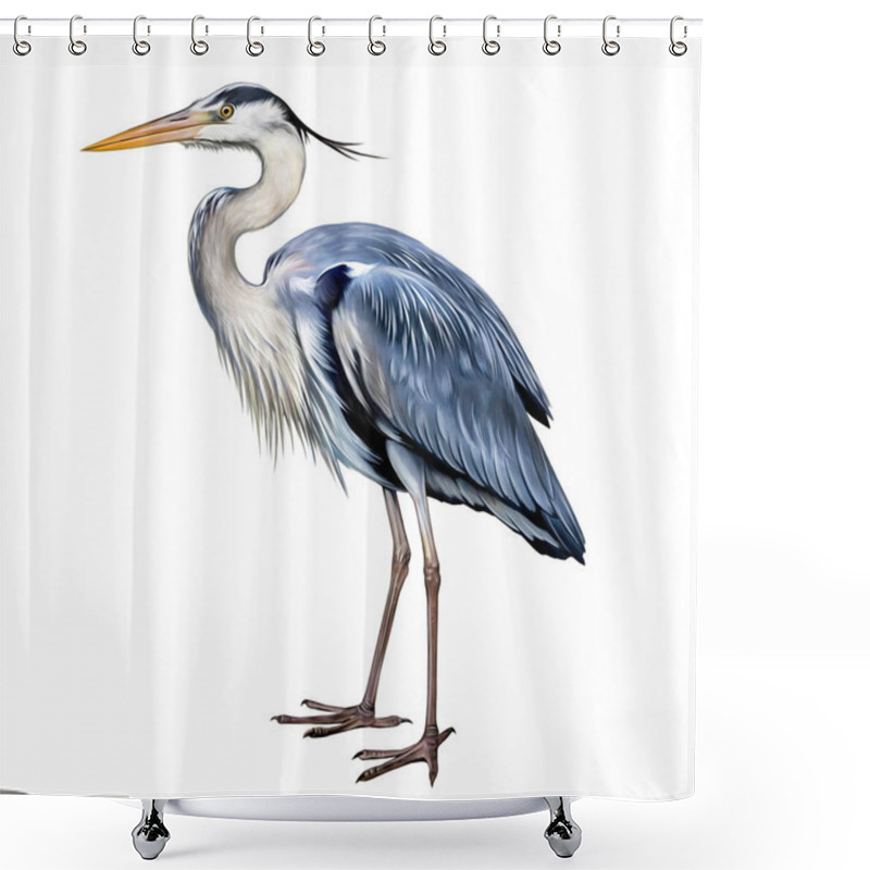 Personality  Gray Heron (Ardea Cinerea), Realistic Drawing, Illustration For Animal And Bird Encyclopedia, Isolated Image On White Background Shower Curtains