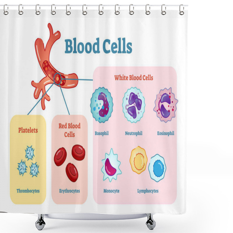 Personality  Blood Cells Flat Vector Illustration Diagram  Shower Curtains