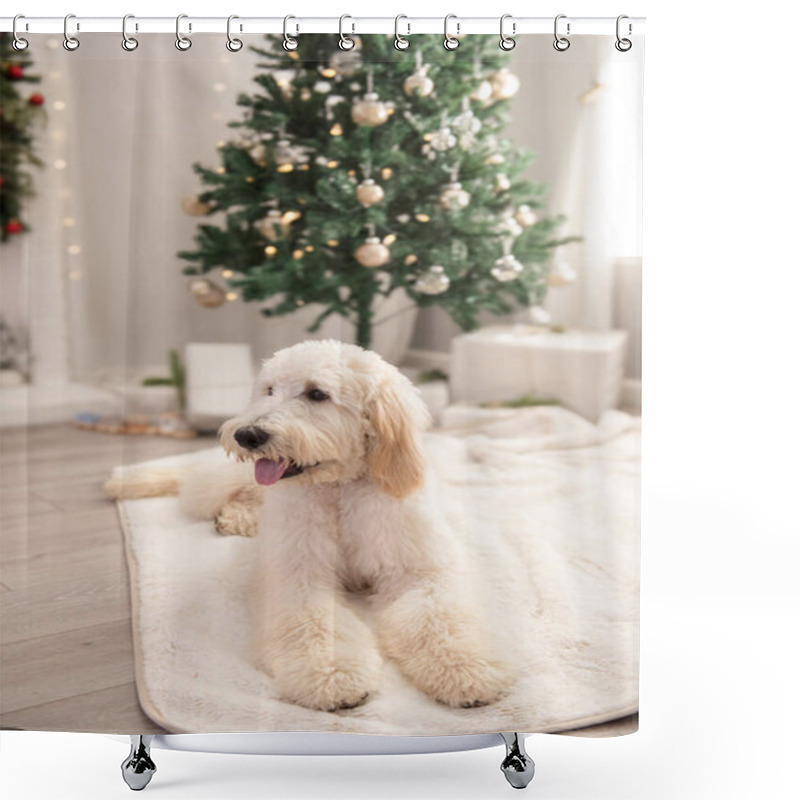 Personality  Golden Doodle Laying Down In Front Of Christmas Tree Shower Curtains