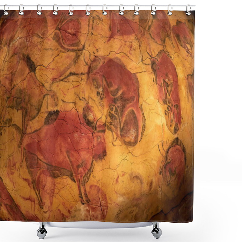 Personality  The Drawings From The Ceiling Of Altamira Cave In Santillana Del Mar, Cantabria, Spain Shower Curtains