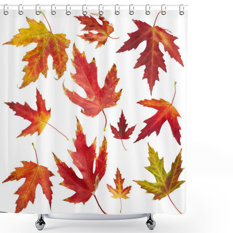 Personality  Maple Autumn Leaves Shower Curtains