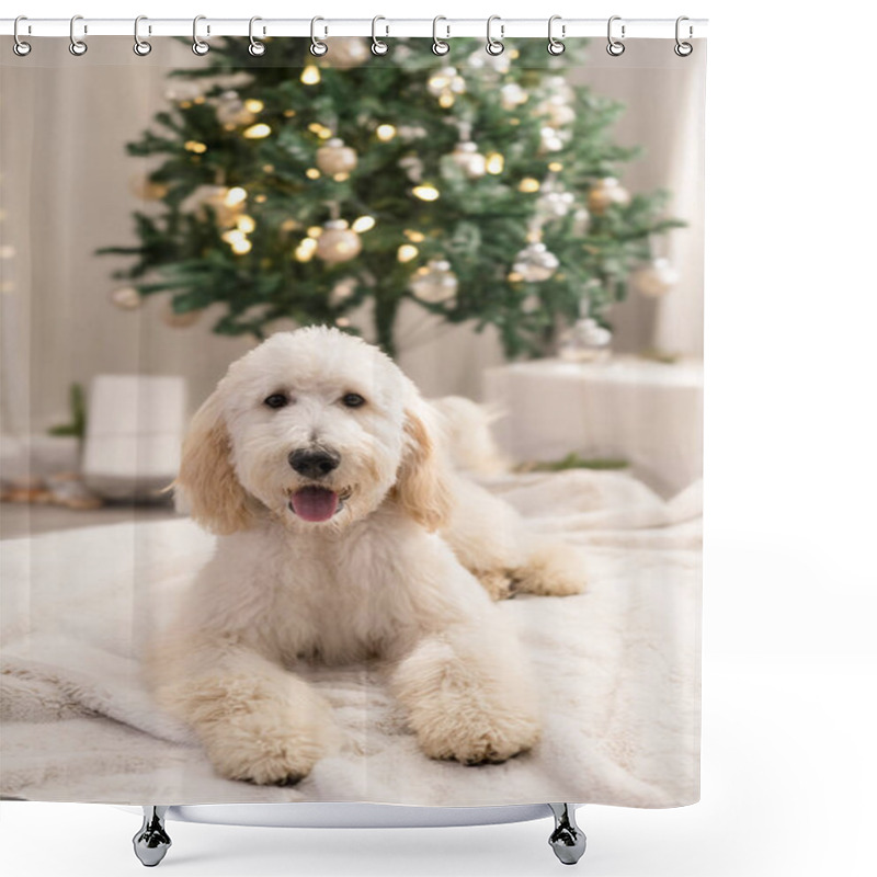 Personality  Dog Laying Down In Front Of Christmas Tree Shower Curtains