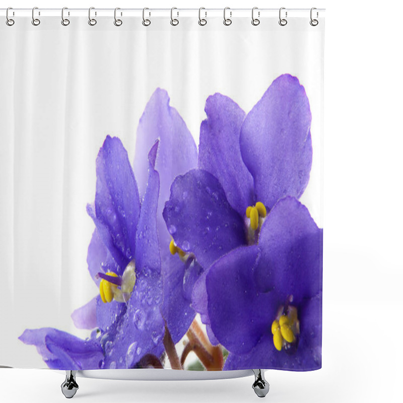 Personality  Violets Flowers With Water Drops Shower Curtains