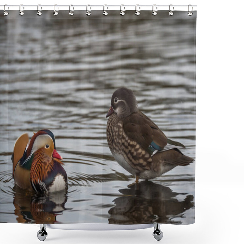 Personality  Male And Female Mandarin Ducks  Shower Curtains