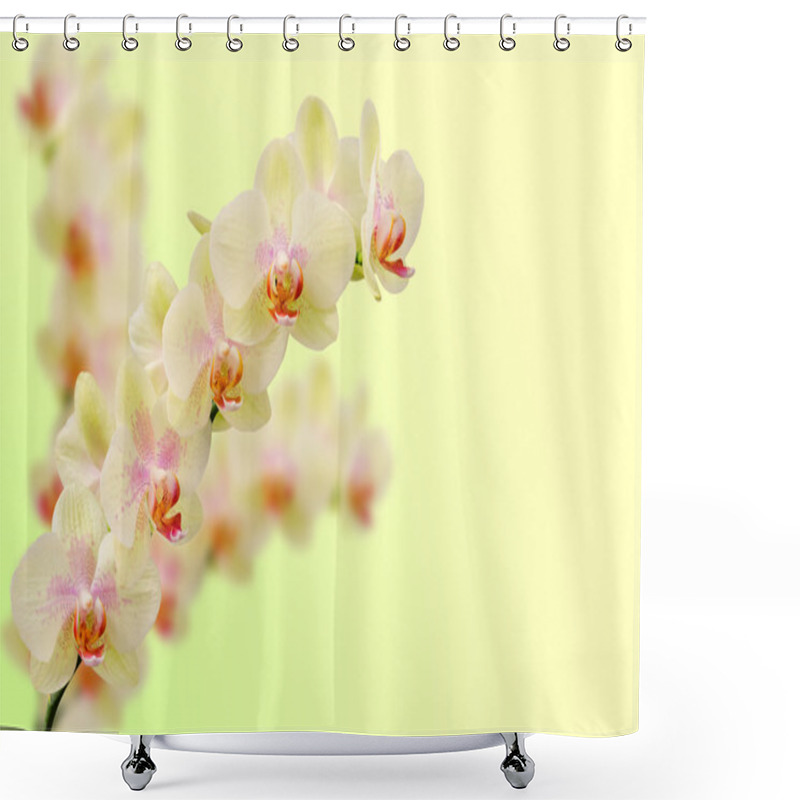 Personality  Bouquet Of Soft Toned Beige Orchid Flowers Shower Curtains