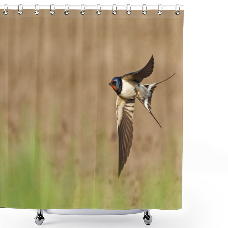 Personality  Barn Swallow Flies Its Wings Open Shower Curtains