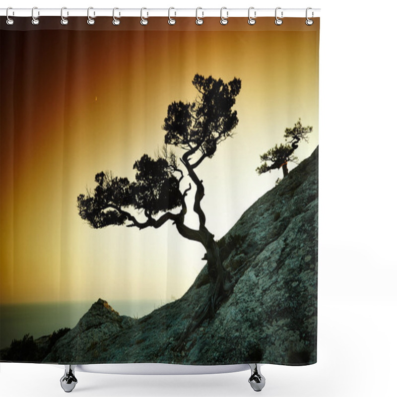 Personality  Tree And Sea At Sunset. Crimea Landscape Shower Curtains