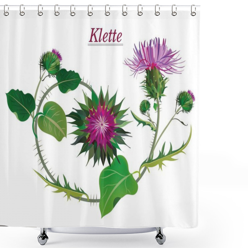 Personality  Burdock Is A Valuable Medicinal Medicinal Plant With Large Leaves And Beautiful Pink Flowers Shower Curtains