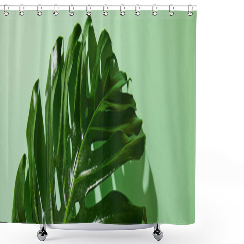 Personality  Close Up View Of Fresh Tropical Leaf On Green Background With Shadow, Panoramic Shot Shower Curtains