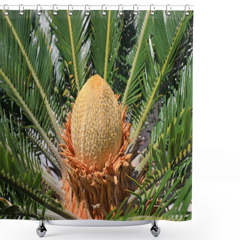 Personality  Iron Tree Flowers Are In The Botanical Garden, North China Shower Curtains