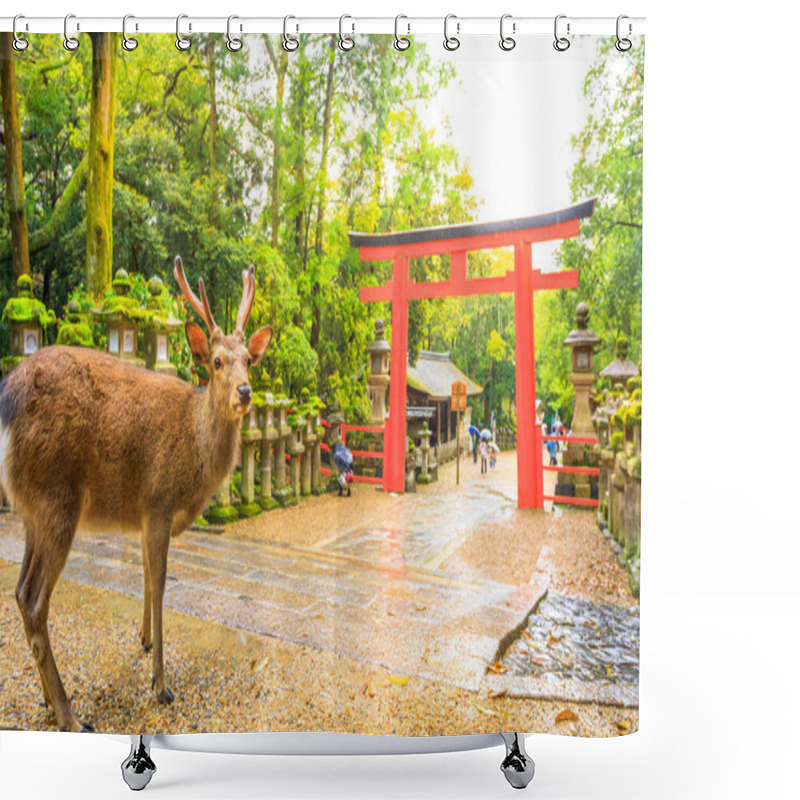 Personality  Torii Of Nara Deer Shower Curtains