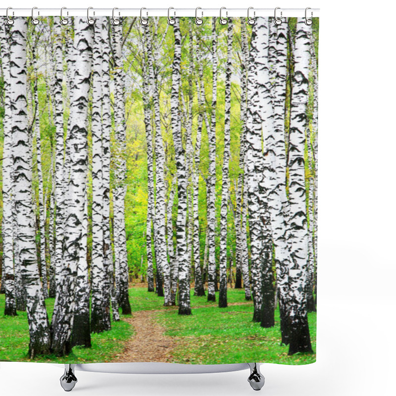 Personality  First Days Of Autumn In Birch Grove Shower Curtains