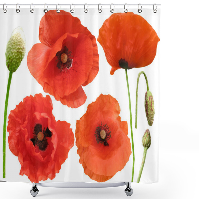 Personality  Set Of Field Poppies. Isolated On White Shower Curtains