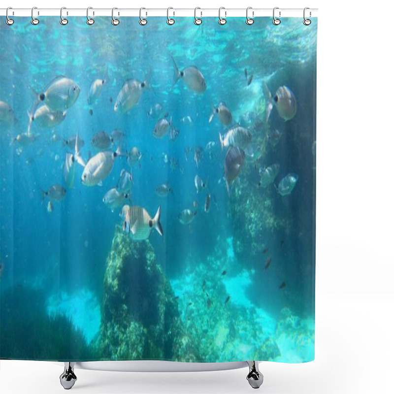 Personality  Snorkeling View Of Some Fish In Menorca Shower Curtains