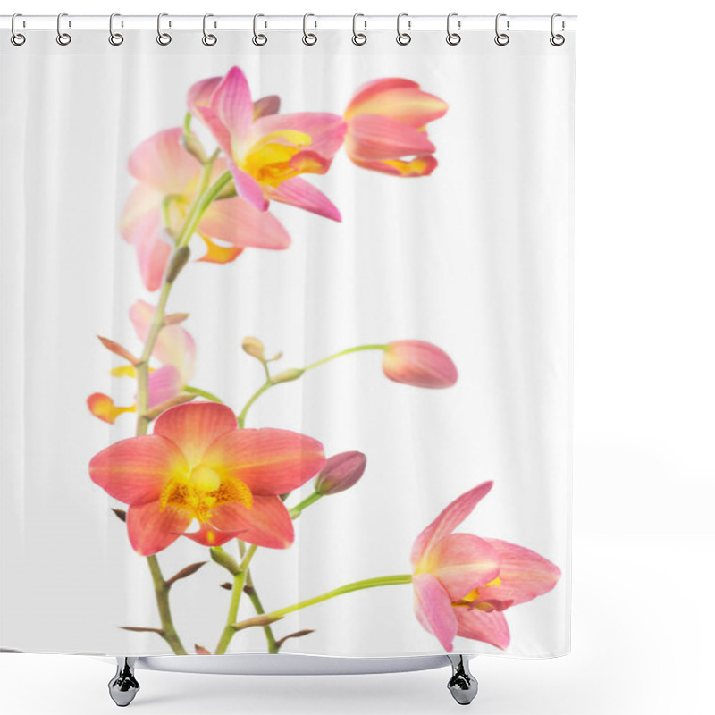 Personality  Red Orange Spathoglottis Plicata Orchids And Buds Shower Curtains