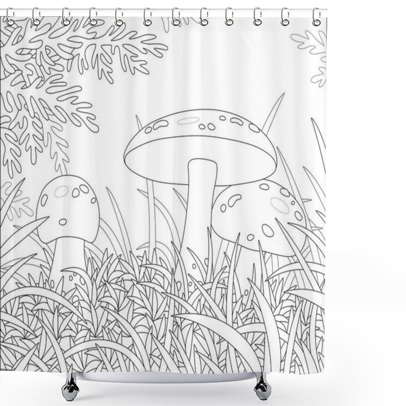 Personality  Three Edible Mushrooms With Big Caps Hiding In Thick Grass On A Pretty Forest Glade On A Warm Summer Day, Black And White Outline Vector Cartoon Illustration For A Coloring Book Page Shower Curtains