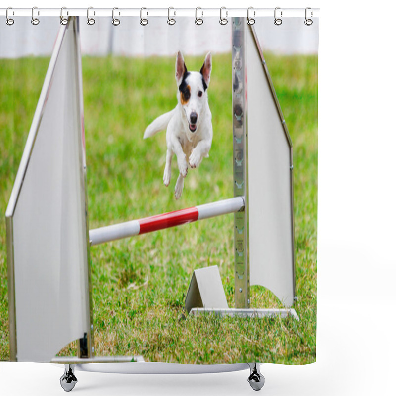 Personality  Agility Dog With A Jack Russell Terrier Shower Curtains