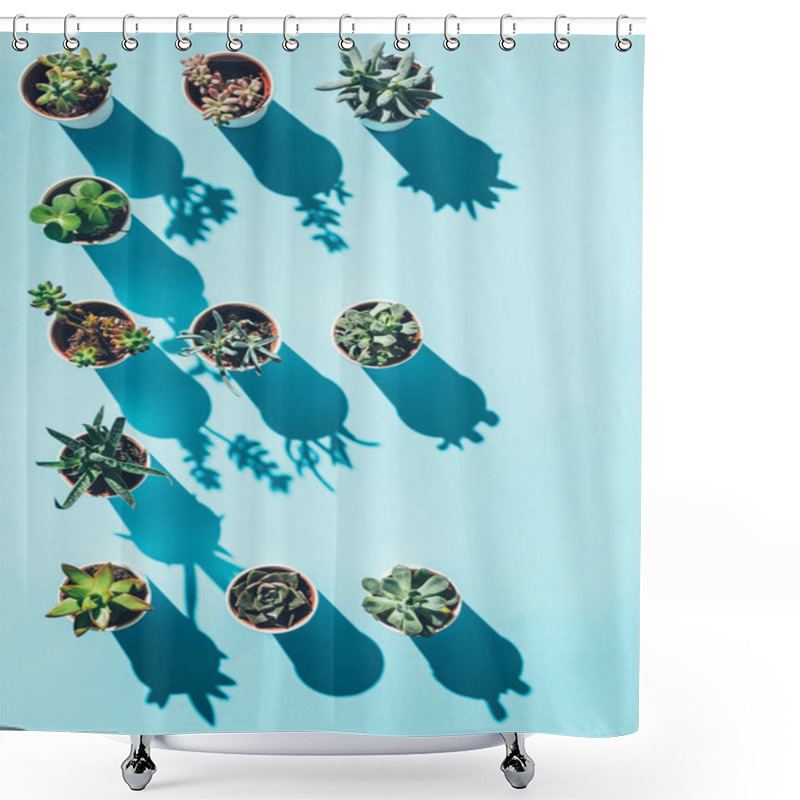 Personality  Top View Of Letter E Made From Green Potted Plants On Blue Shower Curtains